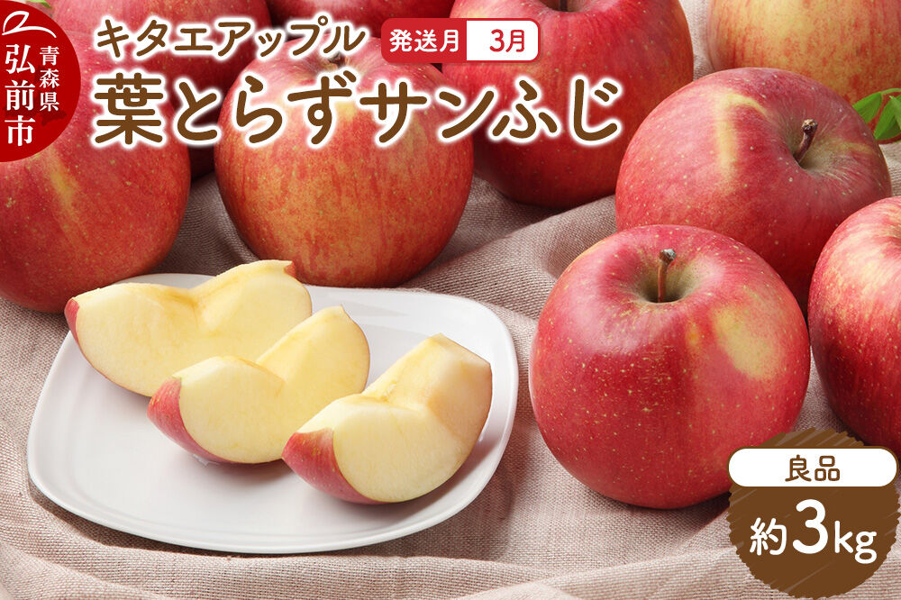 【27年3月クール便発送】りんご 葉取らず サンふじ【良品】約3kg キタエアップル 先行受付 青森県 弘前市 果物 フルーツ 林檎 リンゴ くだもの ギフト 贈り物 [先行予約 クール便 産地直送 