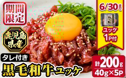 s141-om 《期間・数量限定！》鹿児島県産黒毛和牛ユッケ(計200g・40g×5パック)タレ付き！ 鹿児島 国産牛 九州産 牛肉 黒牛 生食用 小分け 冷凍 ユッケ 黒毛和牛 牛 【カミチク】