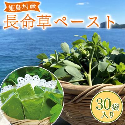 ふるさと納税 姫島村 姫島村産 長命草 ペースト 1箱(30袋入り)