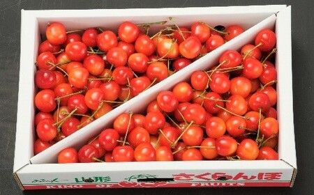 さくらんぼ（佐藤錦か紅秀峰）１ｋｇ　Ｌサイズ　バラ詰め　0020-2609