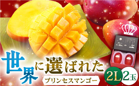 【先行予約】 プリンセスマンゴー 2L×2玉 マンゴー マンゴー マンゴー マンゴー マンゴー[QAT007]
