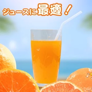 タカじいの セミノール 家庭用 5kg サイズおまかせ M～2L / 訳あり 甘い 和歌山 有田 柑橘 ※4月中旬〜5月に順次発送 【krs016-c-5A】