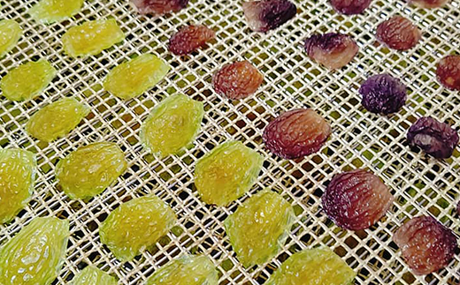 笑顔になる干し葡萄【完熟シャインマスカット】【色々ぶどうミックス】瓶詰セット