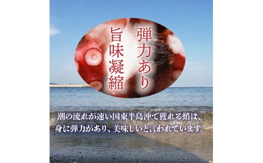 漁師が作る本格派！にんにく醤油味のたこ唐揚げ（0.98kg）・通
