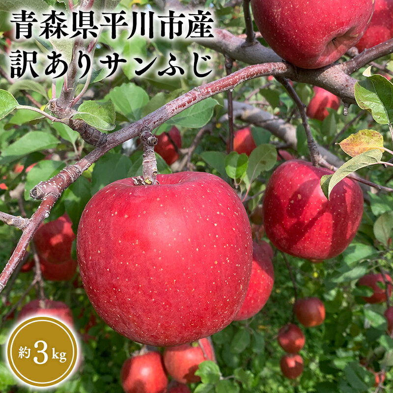 【ふるさと納税】≪12月発送≫青森県産 訳あり サンふじ 約3kg【青森県 平川市 なるみ農園】家庭用 訳アリ 青森 青森県産 平川 りんご リンゴ 林檎 くだもの 果物 フルーツ レビューキャンペーン