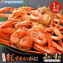 【ふるさと納税】【訳あり】≪浜茹で≫越前産 紅ずわいがに 約700g × 2杯 ～ 4杯 食べ方しおり付【紅ズワイガニ カニ かに 蟹 姿 ボイル 冷蔵 福井県】【1月発送分】希望日指定不可