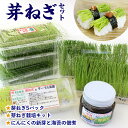 【ふるさと納税】ねぎ 芽ねぎ 佃煮 セット 詰め合わせ 野菜 農産物 おすすめ 農薬 不使用 未使用 無添加 自由研究 栽培 体験 キット にんにく 新芽 海苔 つくだ煮 料理 年越し 蕎麦 雑煮 おせち 寿司 鍋 ビタミン ミネラル 栄養 瓶詰 夏休み こども 特選