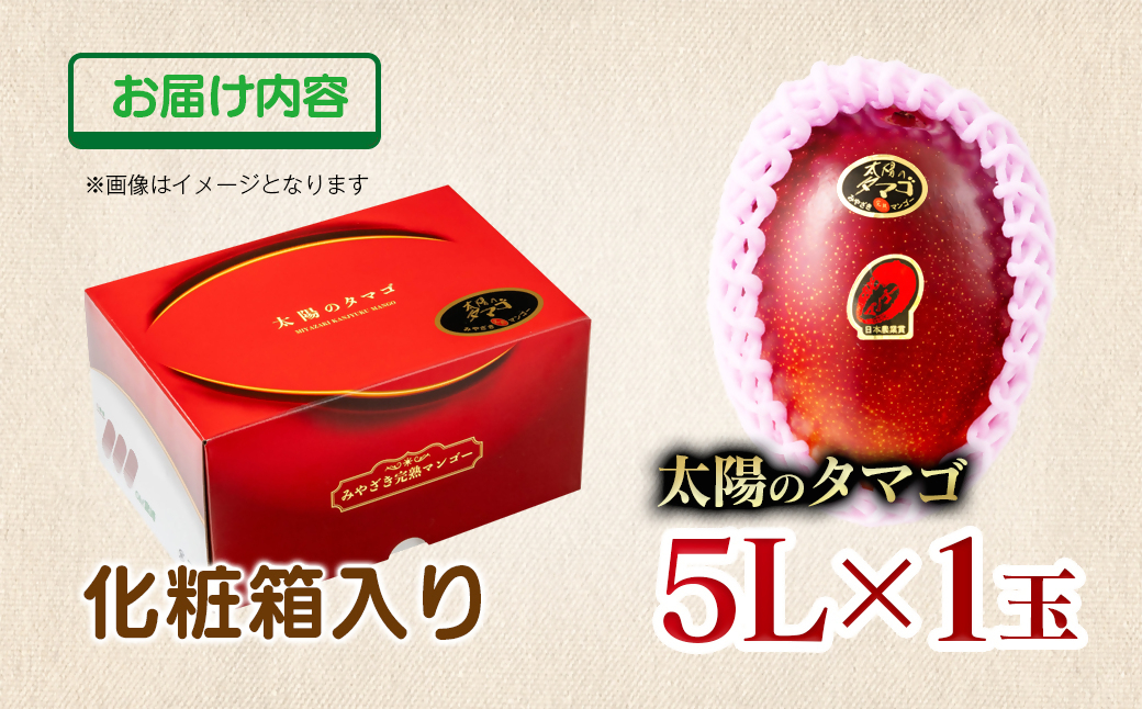 6月発送【先行予約】最高級ブランド『太陽のタマゴ』5L×1個【糖度15度以上】宮崎県西都市産完熟マンゴー＜68-9a＞宮崎マンゴー 果物 フルーツ 甘い 6月発送　太陽のタマゴ　5L×1