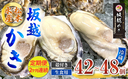 定期便 牡蠣 生食用 坂越かき 殻付き 42～48個《2ヶ月連続お届け》 松本水産 [ 生牡蠣 真牡蠣 かき カキ 冬牡蠣 ]