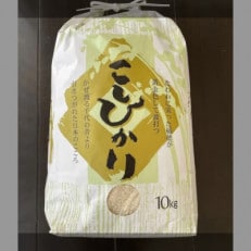 令和5年産　埼玉県幸手市産特別栽培コシヒカリ　精米10kg
