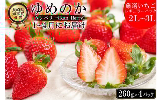 厳選いちご ゆめのか（2L～3L）260g×4パック 長崎県知事賞受賞