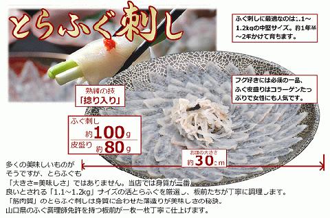 (10048)お中元ギフト 仙崎 とらふぐ刺身4人前 約100g ふぐ皮湯引き ポン酢・赤おろし 風呂敷 専用化粧箱 プレゼント 贈り物 季節限定 きらく 長門市