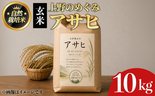 ＜令和8年産新米！2026年11月中旬頃順次発送予定＞上野のめぐみ アサヒ(玄米/10kg) 【fc-TQ008-R8-B10】【リトリートかるむ】