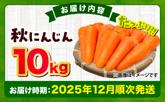 【先行予約】【2025年12月順次発送開始】秋にんじん10kg / ニンジン 野菜 β-カロテン 食物繊維 抗酸化作用 栄養満点 熊本県産 菊陽町　【株式会社 まゆみ農園】 [BHCW006]
