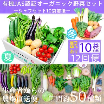 ふるさと納税 掛川市 【毎月定期便】【フードロス対応・規格外野菜利用】　有機野菜　シェフMセット　オーガニック野菜全12回
