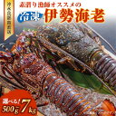 【ふるさと納税】＜選べる＞ 冷凍 伊勢海老 約500g ～ 7kg 沖永良部島 直送 素潜り漁師 オススメ えび 海老 伊勢えび イセエビ 高級 国産 新鮮 鮮度 魚介 海鮮 甲殻類 産地直送 生冷凍 活 濃厚 出汁 味噌汁 鍋 焼きエビ 西郷食堂 鹿児島 和泊町 ランキング プレゼント ギフト