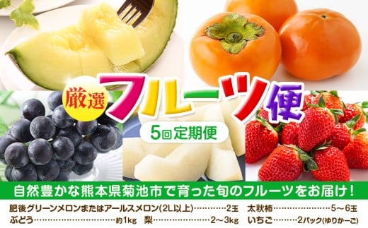 【定期便5回】 厳選 フルーツ 便 ( メロン ぶどう 梨 柿 いちご ) 《お申込み月の翌月から出荷開始》 葡萄 ブドウ ナシ なし かき 太秋柿 イチゴ 苺 果物 くだもの セット 詰め合わせ 定期便 st-p