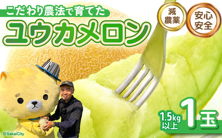 ユウカメロン 1玉 1.5kg以上【2027年6月中旬以降発送】メロン フルーツ[A-21219]