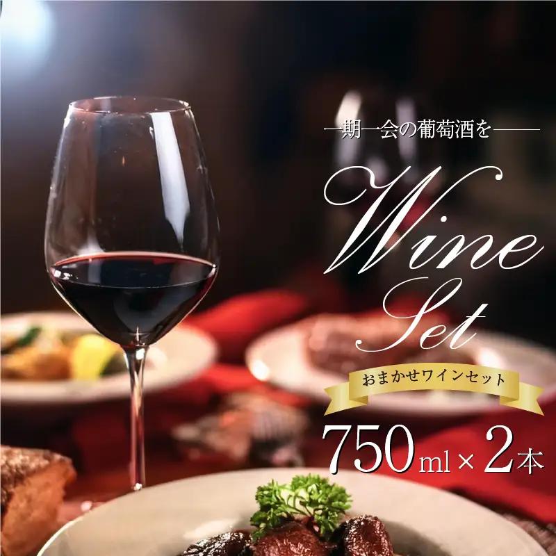 【醸造所 直送】 こだわり 国産 ワイン 750ml 2本 ぶどう【 ワイン 】