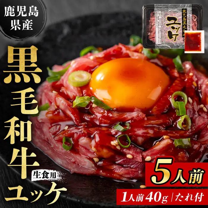 ユッケ 鹿児島県産 黒毛和牛 5人前 【LRプラスK】 i907