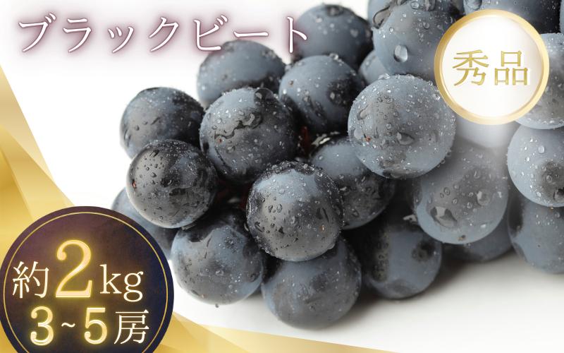
                  2kg箱入り（3~5房）種無し ブラックビート（ブドウ・ぶどう）【2026年7月下旬～8月下旬順次発送（限定数量）】/ ぶどう ブラックビート たねなし 甘い ジューシー 和歌山県 かつらぎ町 アートフルーツ農園
                
