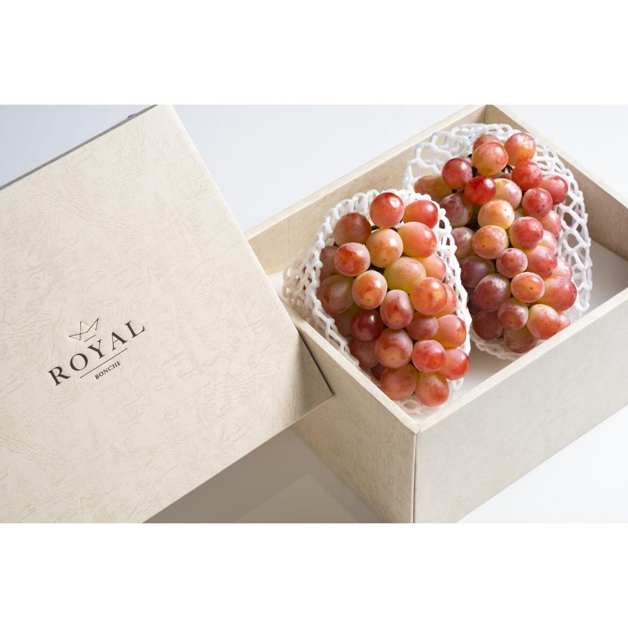 ＜Bonchi＞甲州市産 大粒サンシャインレッド 2房入(630g相当/房) 自然農法