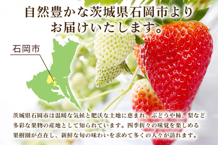 【 2026年 先行予約 】いちご 旬の苺 食べ比べセット 4p Rafすとろべりーふぁーむ イチゴ 苺 4パック 国産 果物 フルーツ くだもの 1月 2月 3月 発送 冬 旬 産地直送 農家直送 
