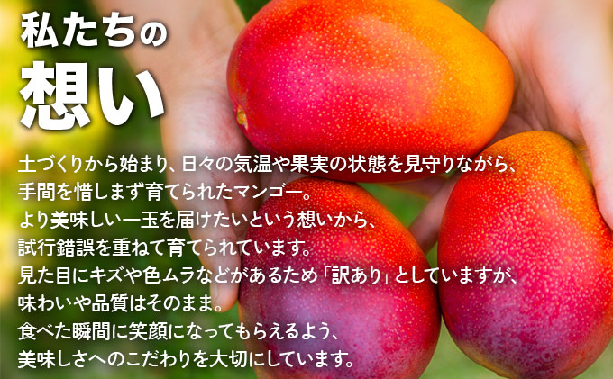 【2027年6月下旬より順次発送】★訳あり★沖縄県豊見城市産アップルマンゴー 約2kg｜マンゴー アップルマンゴー 訳あり わけあり フルーツ くだもの 果物 先行予約 数量限定 おきなわ 沖縄 沖縄