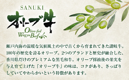 極上オリーブ牛100％使用ハンバーグ 限定1カ月2セット 手ごね 黒毛和牛 冷凍 おかず グルメ 食品 四国 F5J-476