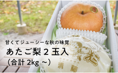 【2026年先行予約】あたご梨 上級品 2玉入(1.0kg級/玉) (岡山県産) / 和梨 【KF-C004-02】