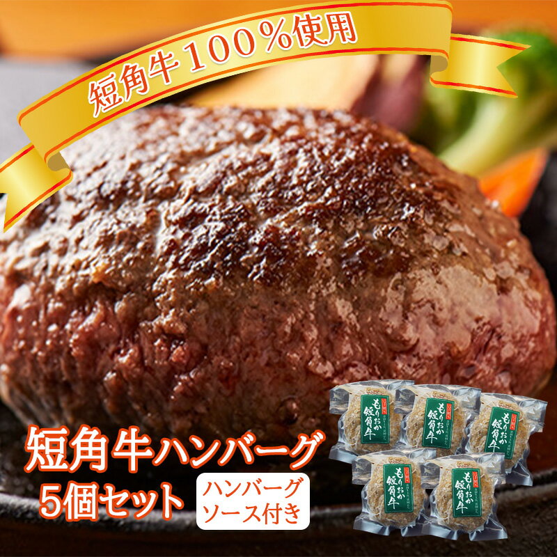 【ふるさと納税】肉専門レストラン「パイオニアファーム」　短角牛100%使用!　短角牛焼き上げハンバーグ5個セット【楽天】