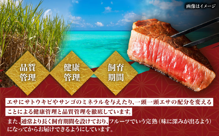 【厳選！おすすめ部位】沖縄和牛 佐渡山牛 焼肉用 500g 牛肉 焼肉 焼き肉 和牛 赤身 沖縄市 / 肉のサブロー [BCBC003]