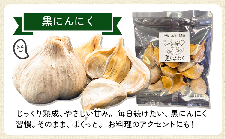 にんにく 4種 セット計4袋 各1袋 にんにくスプラウト むきにんにく 切干にんにく 黒にんにく 株式会社ANELA GROW 《30日以内に出荷予定(土日祝除く)》千葉県 我孫子市 にんにく 水耕栽