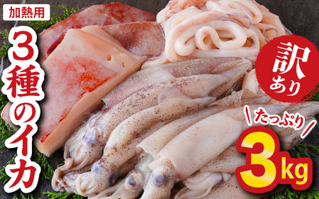【訳あり】３種のイカ たっぷり ３kg ! ＜加熱用＞ ヤリイカ、アカイカ、マツイカ 詰め合わせ 小分け 下処理済　煮物 からあげ 天ぷら 炒め物 サラダ おつまみ などに 使いやすい 烏賊 イカ 海鮮 魚介　三重県 尾鷲市 人気 大満足 返礼品 MT-15