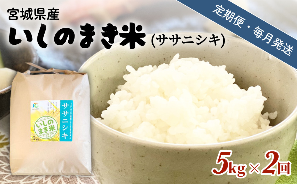 
            米 定期便  【定期便2回・毎月発送】宮城県いしのまき産米「ササニシキ」5kg×2回（精米） 石巻市 お米 米 定期便 白米 こめ 
          