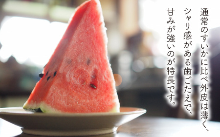 【先行予約】【訳あり】小玉すいか 2玉 坂井市産【2026年7月以降順次発送予定】 [A-3222]