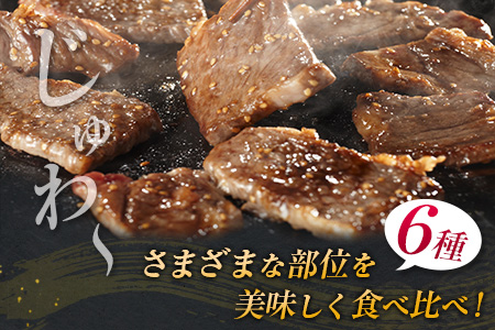 数量限定 宮崎牛 6種 食べ比べ 焼肉 セット 合計600g 肉 牛 牛肉 黒毛和牛 3D冷凍 国産 おかず 食品 BBQ 焼き肉 送料無料_DC16-23