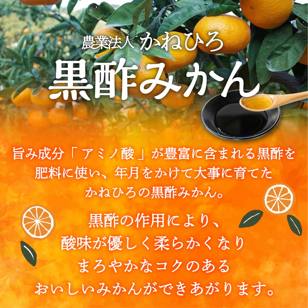 黒酢 を使うことで酸味が優しく柔らかくなり、まろやかでコクのあるおいしい みかん ができあがります。