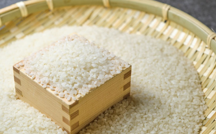 【ロマ佐賀】令和7年産 夢しずく5kg 白米 / 精米 / 佐賀県 / 白川製茶園 [41AIAB016]