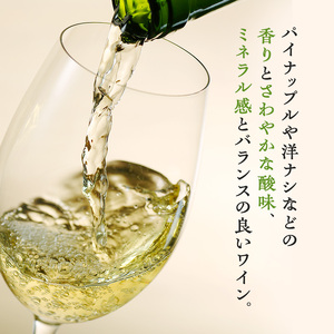 ワイン 椀子シャルドネ アンウッデッド 750ml シャトー ワイン
