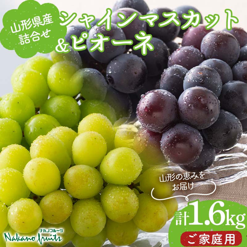 【ふるさと納税】【仲野観光果樹園】≪2025年先行予約≫ご家庭用 山形県産 シャインマスカット ピオーネ 詰合せ1.6kg 2025年8月下旬から順次発送 F2Y-6127