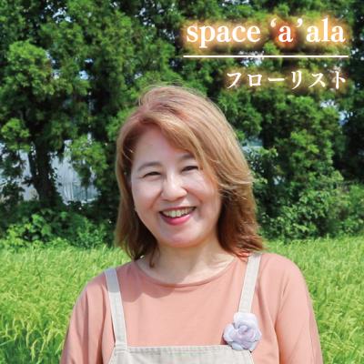 ふるさと納税 下関市 お花の定期便 (バスケット) 毎月1回×3回分 GI001 |  | 03