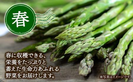 【ニセコ町産】旬の野菜詰合せ　2024年発送【先行予約】