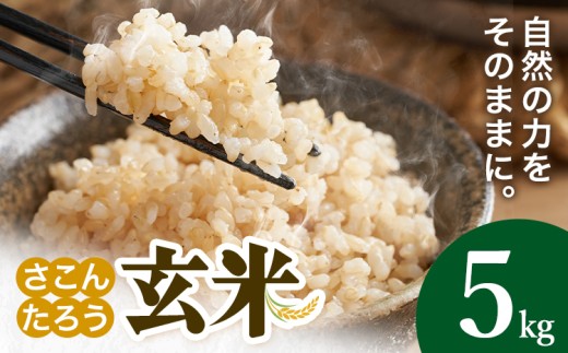 玄米 5kg さこんたろう《90日以内に発送予定(土日祝除く)》熊本県 御船町 コメ おこめ ごはん 熊本県産
