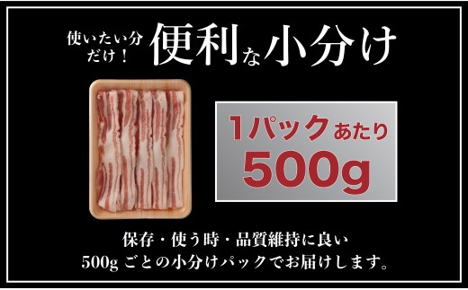 B580 《定期便》長崎県産豚 バラスライス 計1kg(500g×2) 【12回お届け】