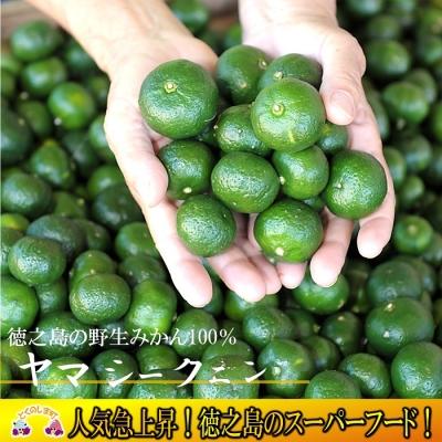 ふるさと納税 徳之島町 〜野生の島みかんの味〜徳之島のヤマ・シークニン果汁(70ml×5本) |  | 02