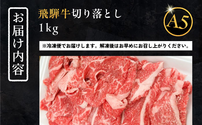 飛騨牛 切り落とし肉 A5ランク 1kg 和牛 国産 霜降り 恵那市 / 岩島屋 [AUAJ015]