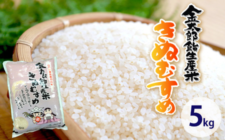令和7年産 米 金太郎飴生産米 きぬむすめ 山口美祢産 5kg