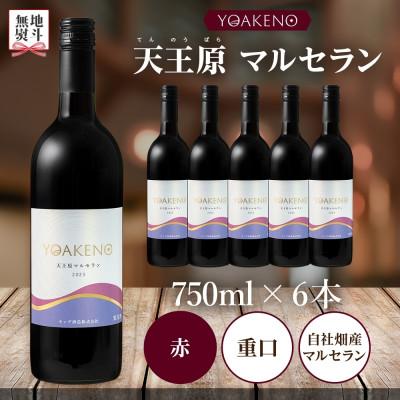 ふるさと納税 笛吹市 【のし付き】山梨県YOAKENO天王原マルセラン 750ml×6本 赤ワイン 重口 モンデ酒造 笛吹 |  | 03