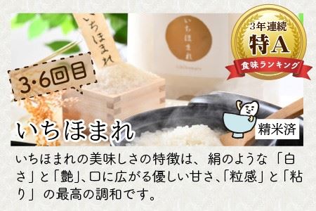 定期便 ≪6ヶ月連続お届け≫ 福井県発祥のお米 3種食べ比べ 5kg × 6回 計30kg (こしひかり・あきさかり・いちほまれ) 【 人気 品種 ブランド米 特A 】 [F-6166]